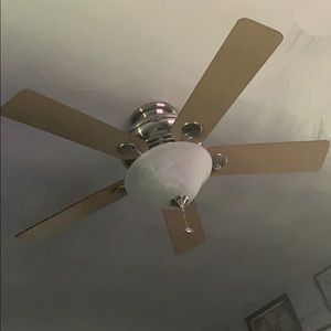 Meet your Posher, Dylan